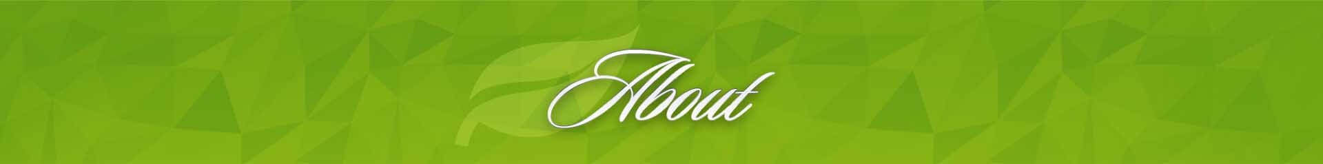 Resurgence counseling services